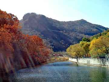 澳门二四六天天彩图库，海蛇肤净